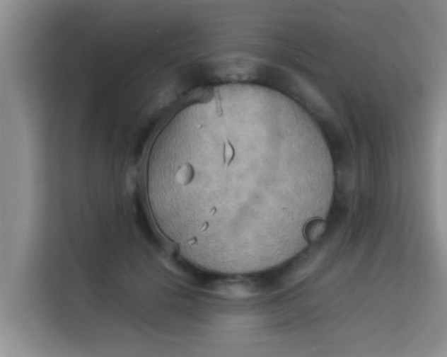 X0000113930652200910091603