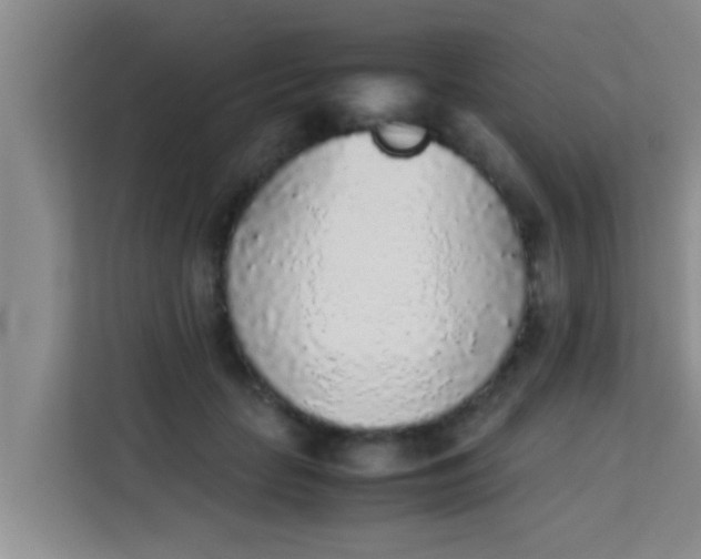 X0000113930653200910091603