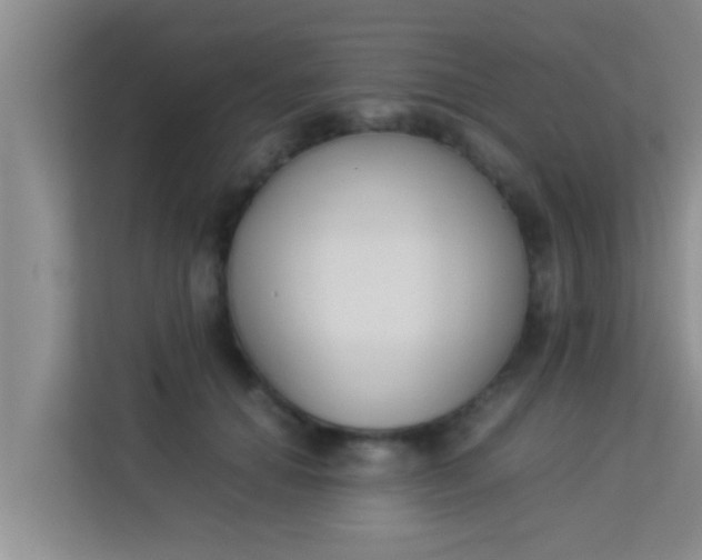 X0000113930654200910091603