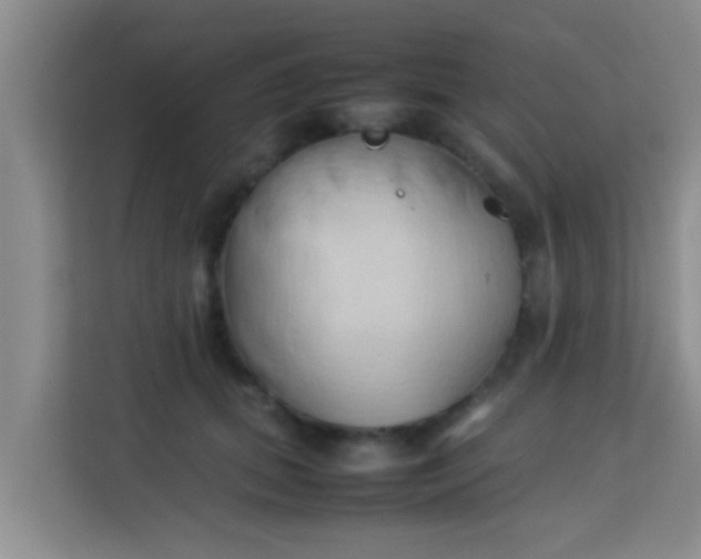 X0000113930655200910091603