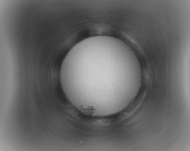 X0000113930657200910091603