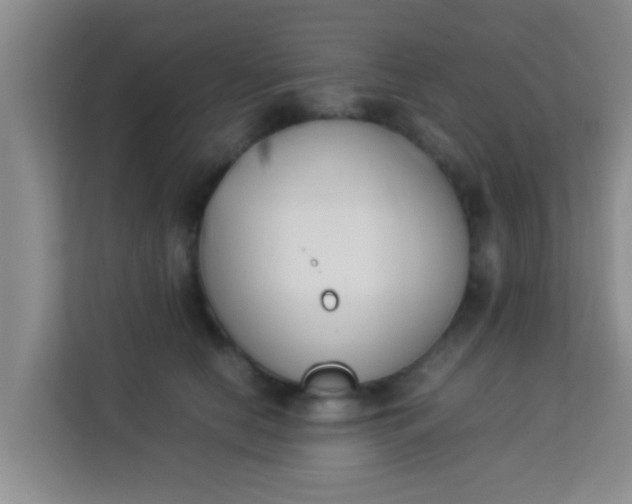 X0000113930658200910091603