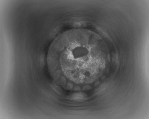 X0000113930659200910091603