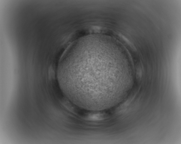 X0000113930661200910091603