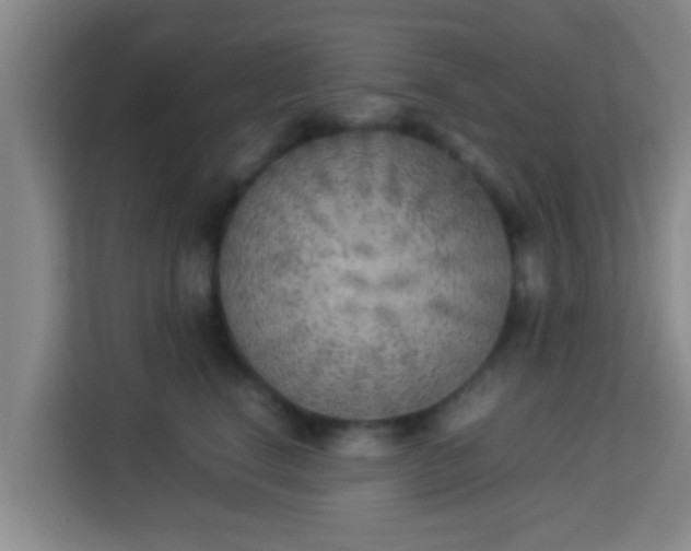 X0000113930664200910091603