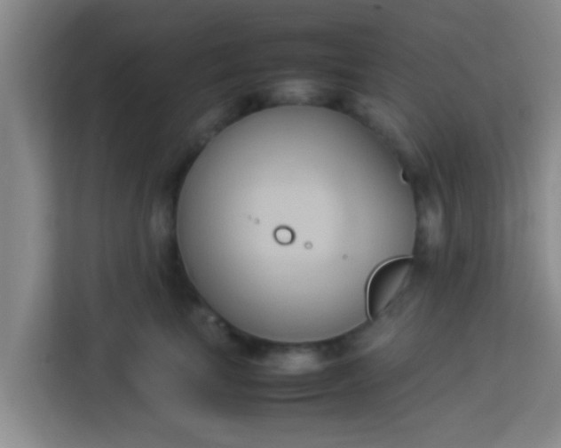 X0000113930665200910091603