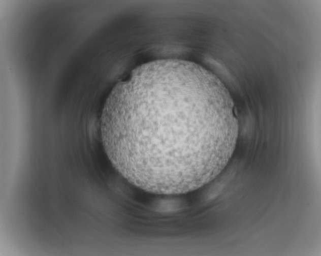 X0000113930669200910091603