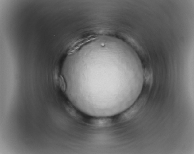 X0000113930670200910091603