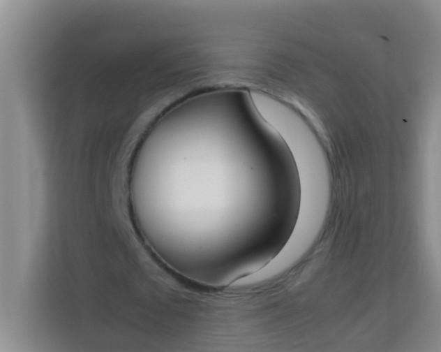 X0000113930673200910091602