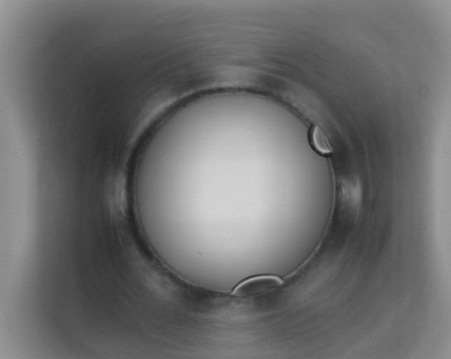 X0000113930676200910091602