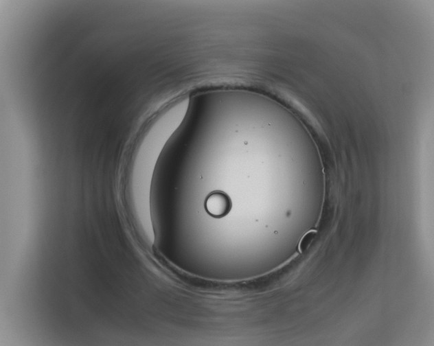 X0000113930677200910091602