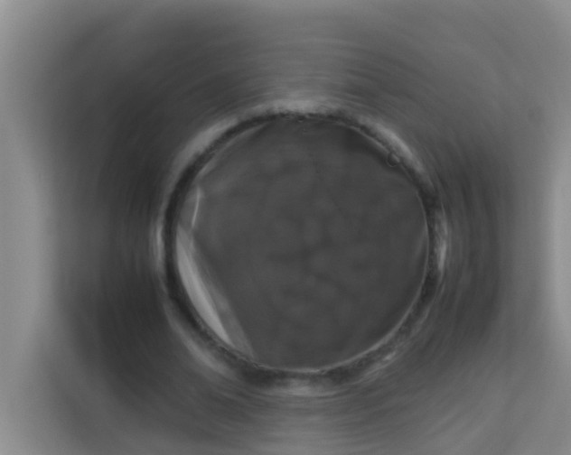 X0000113930678200910091602