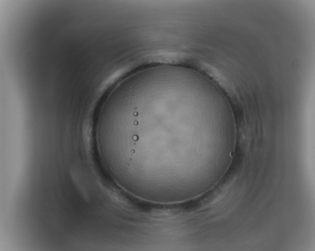 X0000113930679200910091602