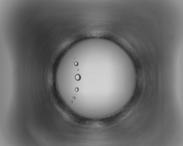 X0000113930683200910091602