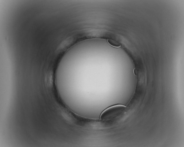 X0000113930685200910091602