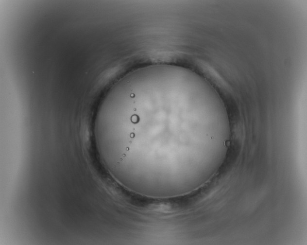 X0000113930687200910091602