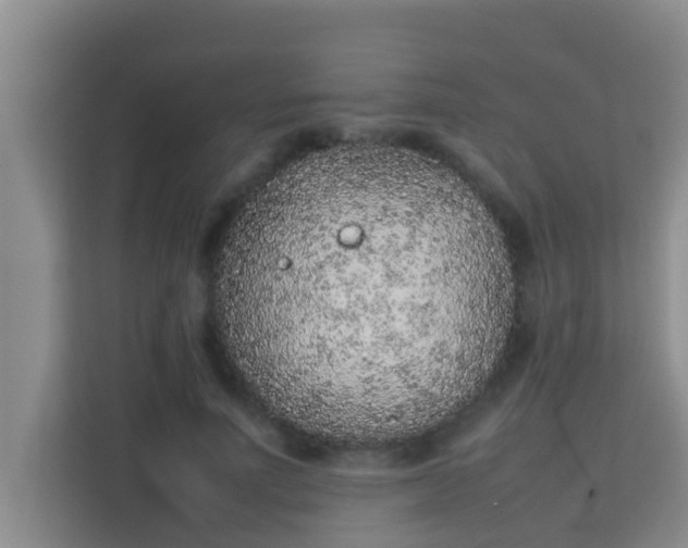 X0000113930691200910091602