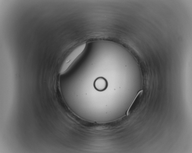 X0000113930692200910091602