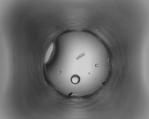 X0000113930693200910091602