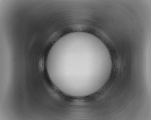 X0000113930694200910091602