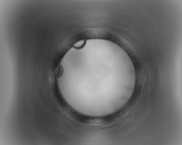 X0000113930695200910091602