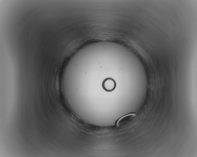 X0000113930696200910091602