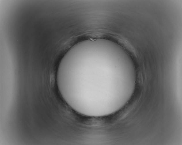 X0000113930697200910091602