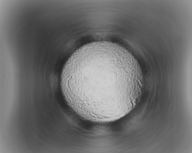 X0000113930699200910091602