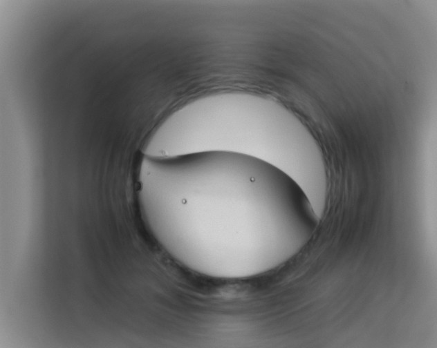 X0000113930700200910091602