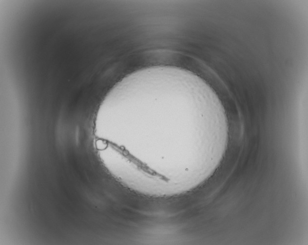 X0000113930701200910091602