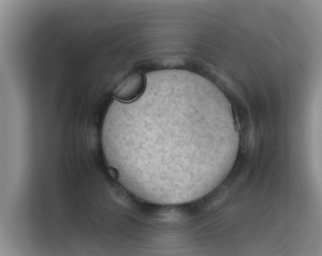 X0000113930704200910091602