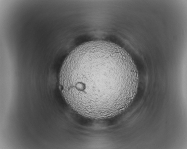 X0000113930707200910091602