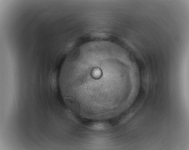 X0000113930708200910091602