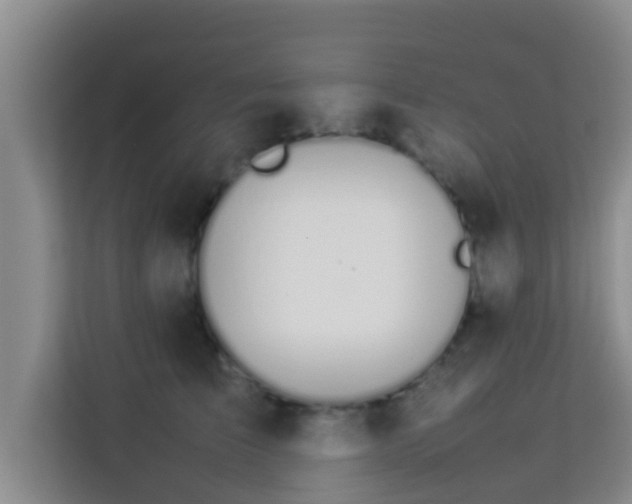 X0000113930709200910091602