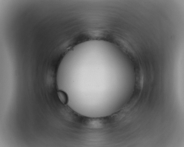 X0000113930710200910091602