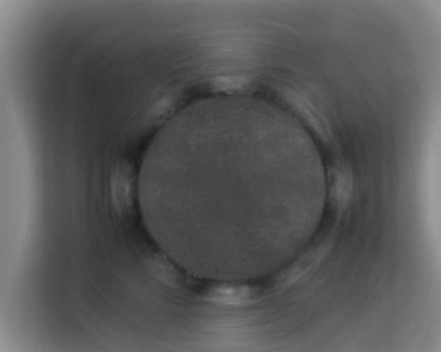 X0000113930712200910091602