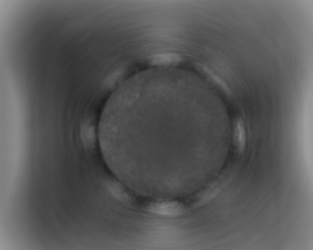 X0000113930716200910091602