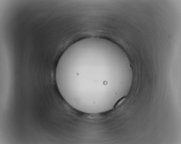 X0000113930720200910091602