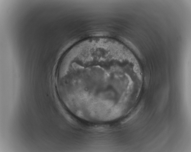 X0000113930721200910091601