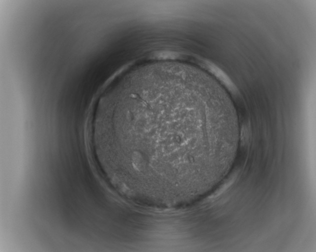 X0000113930722200910091601