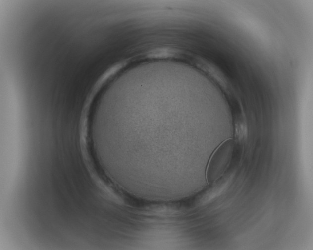 X0000113930724200910091601