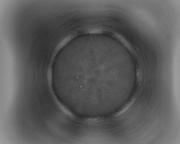 X0000113930725200910091601