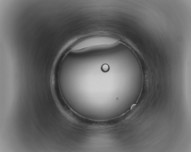 X0000113930726200910091601