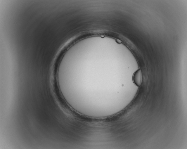 X0000113930728200910091601