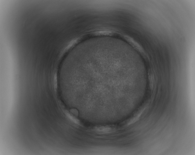 X0000113930729200910091601