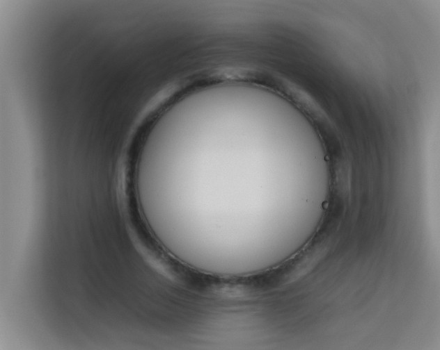 X0000113930730200910091601