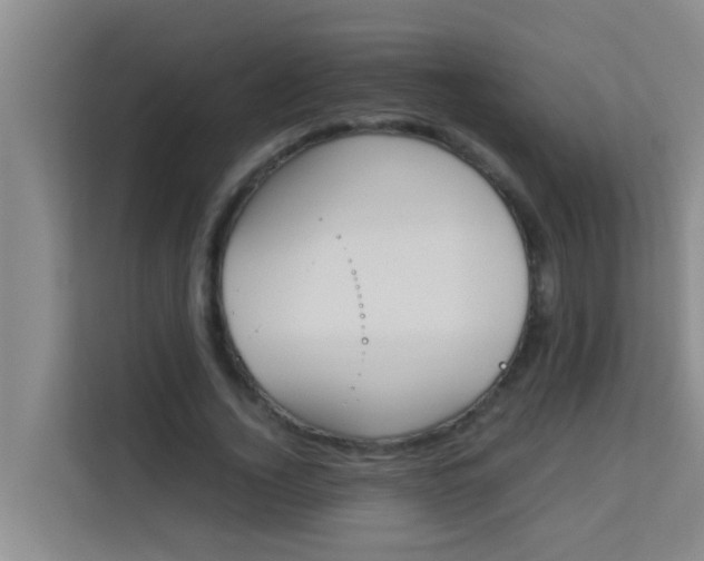 X0000113930732200910091601