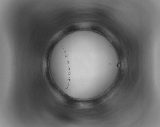 X0000113930733200910091601