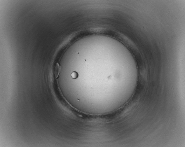 X0000113930734200910091601