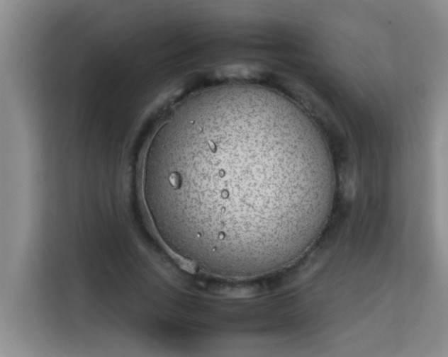 X0000113930735200910091601